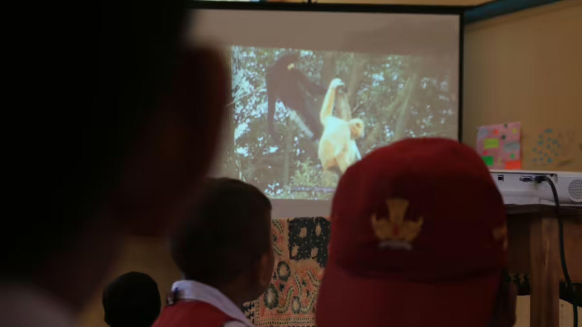 Edukasi pelestarian owa jawa. Perburuan liar juga mengancam eksistensi owa jawa. (WALHI JABAR)